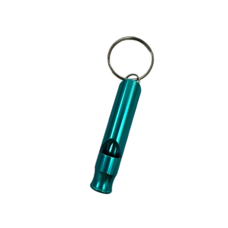 Teal Whistle Keychain
