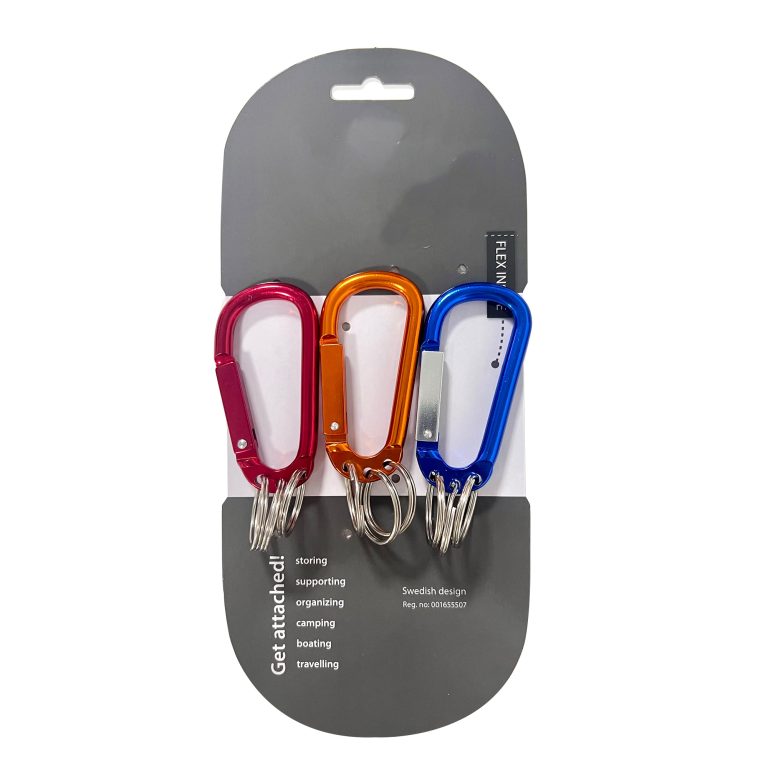 Carabiner Keychain Set