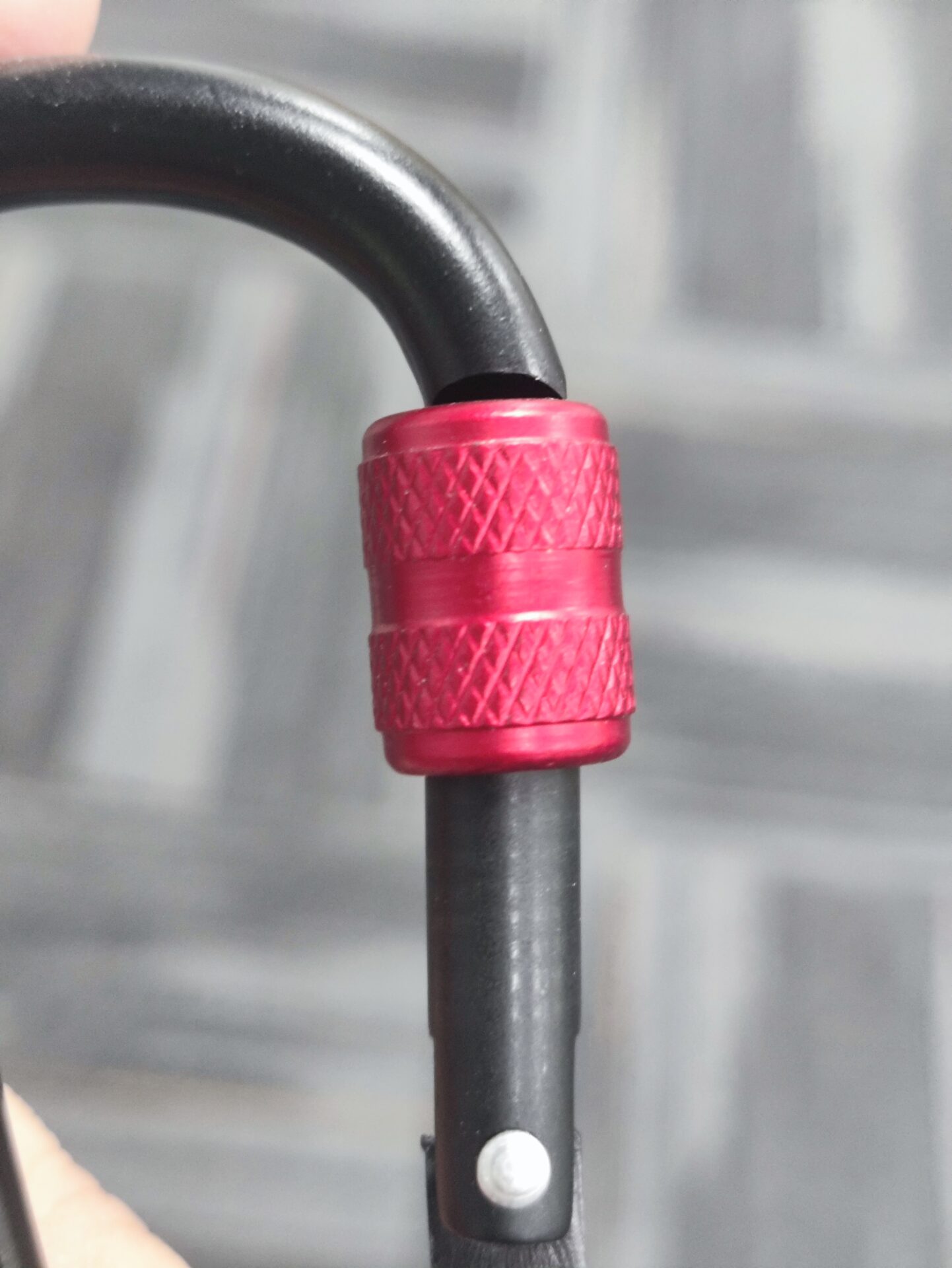 Screw lock carabiner1